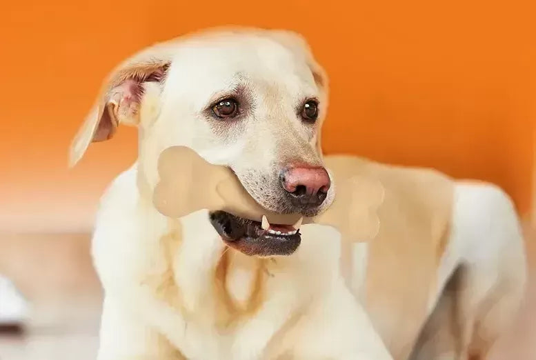 Dog Treats For Bad Breath: Buying Guide