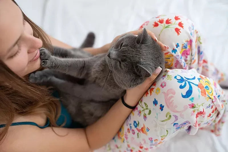 Why Does My Cat Put His Paw On My Mouth