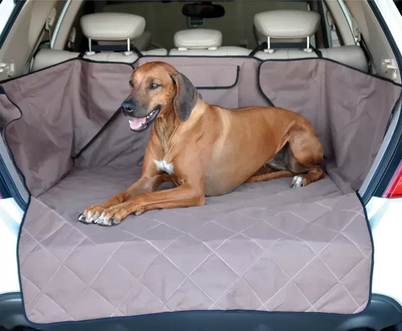 How to Get Dog Hair Out of Your Car