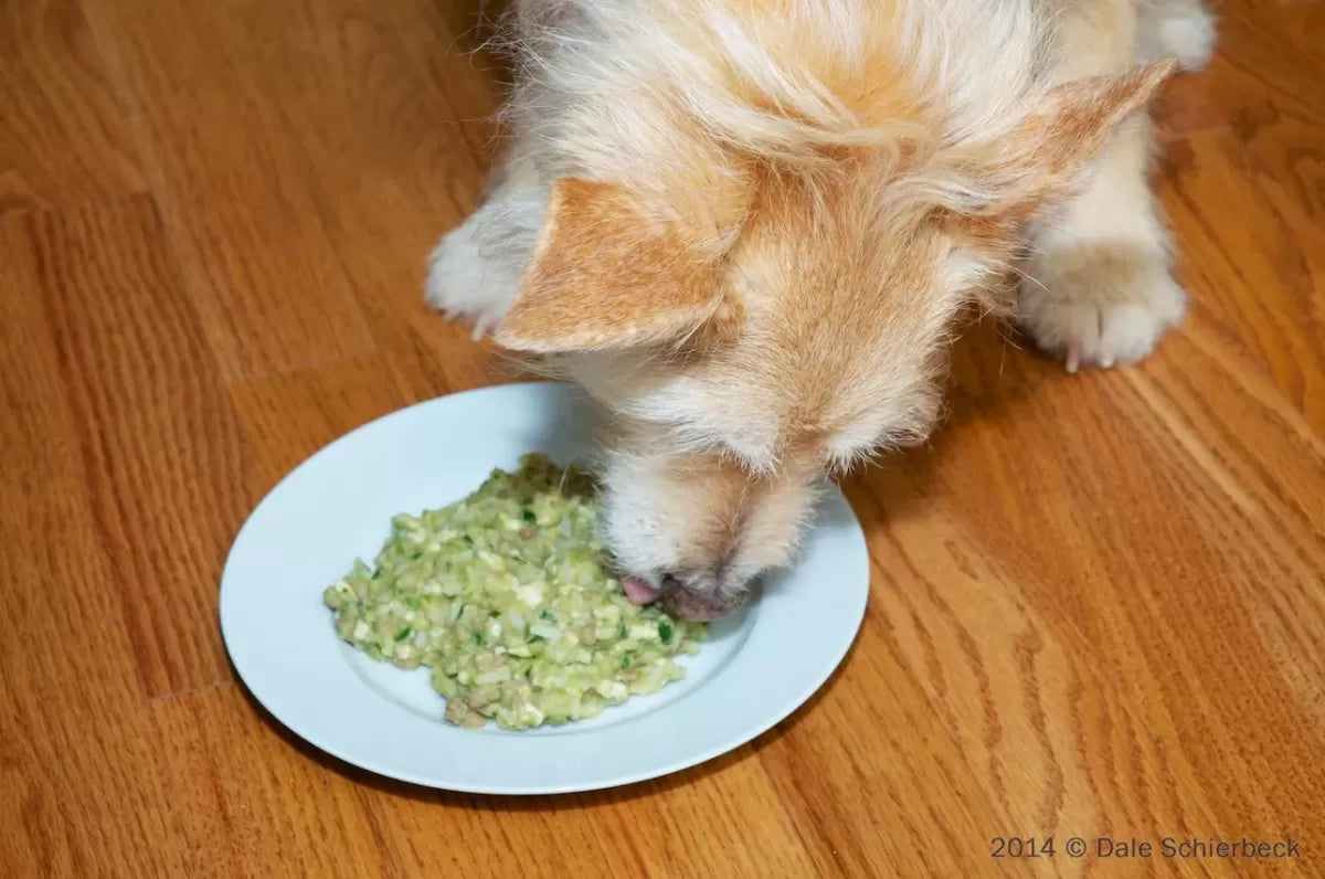 Food Topping That Doesn't Give My Dog Diarrhea​