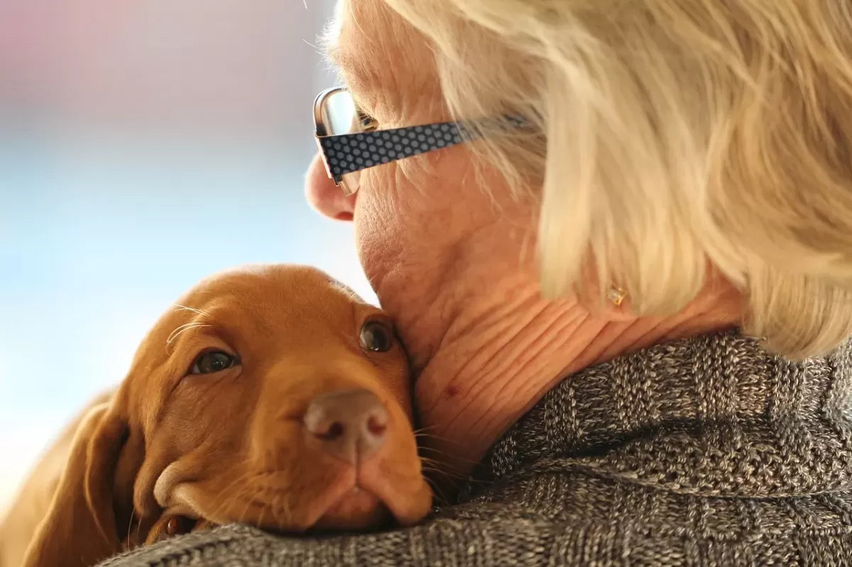 Best Dogs for Seniors