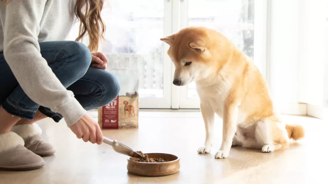 My Dog Refuses to Eat Anything with Chicken​