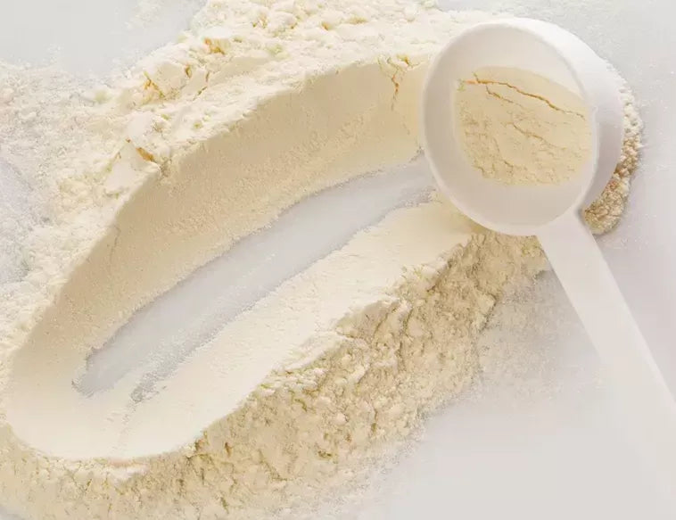Lecithin for Dogs: Lecithin Benefits