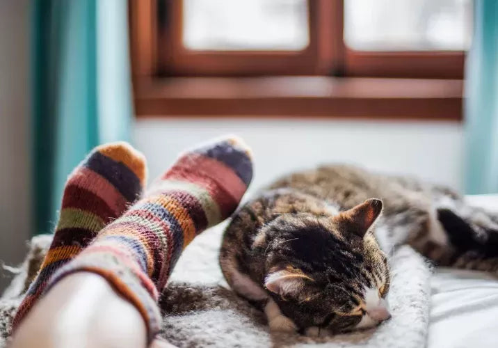 Why Does My Cat Sleep At My Feet