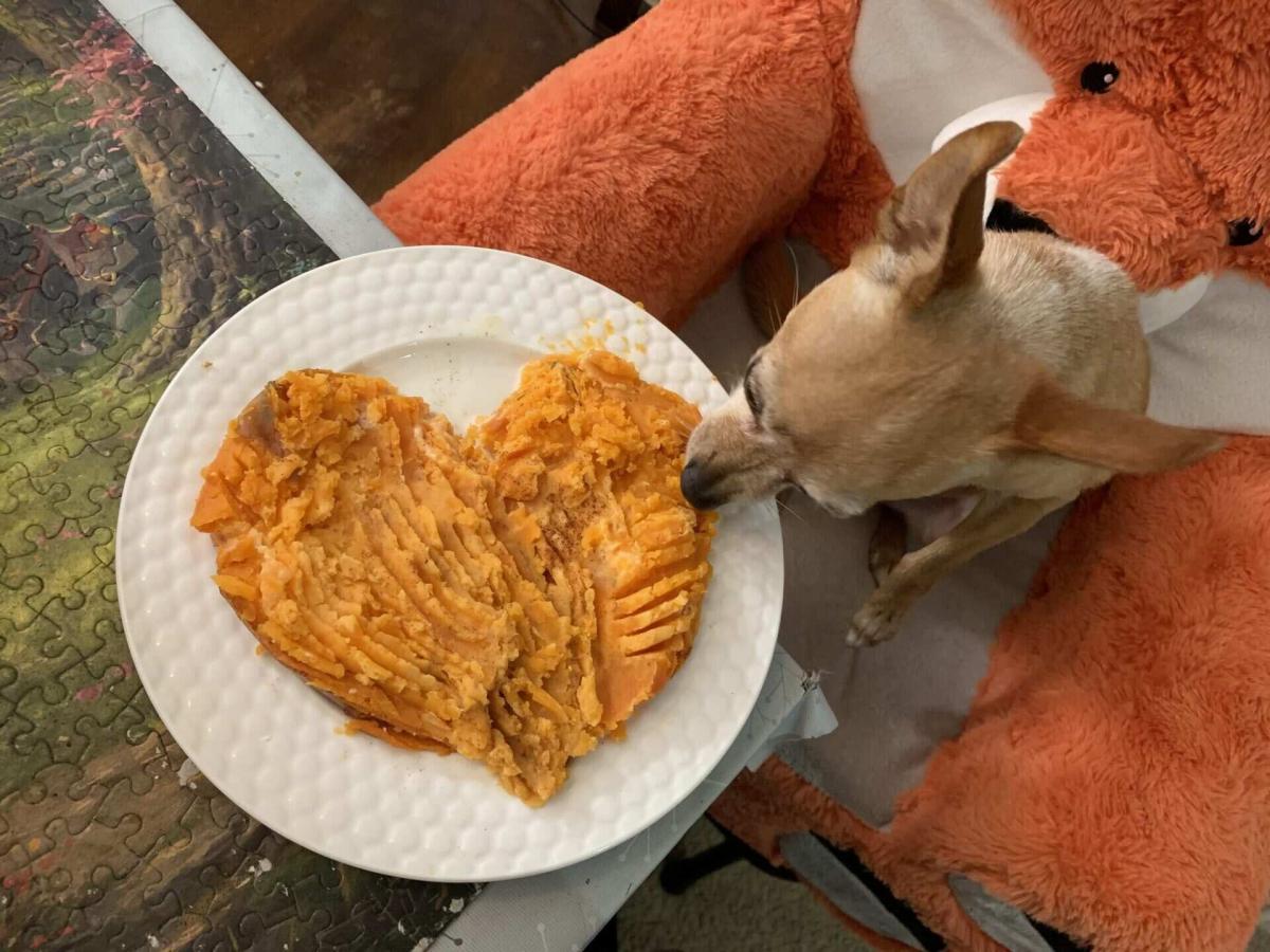 How to Cook Sweet Potatoes for Dogs