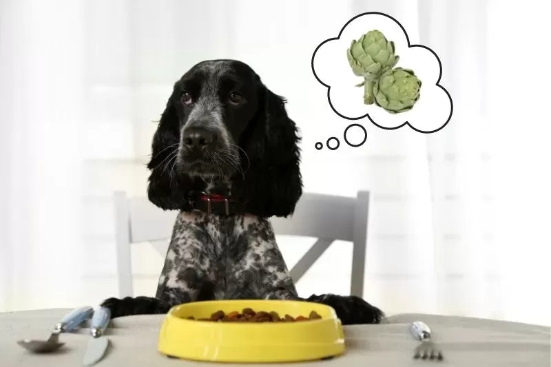 Can Dogs Eat Artichokes