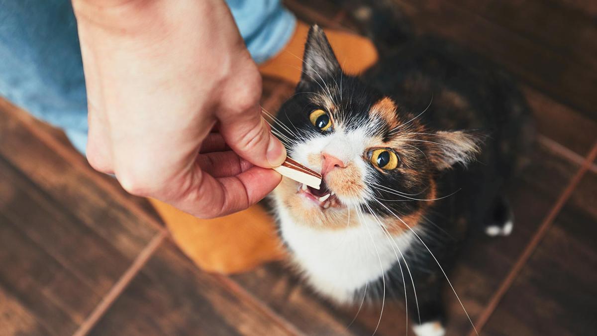Do Cats Need Vitamins