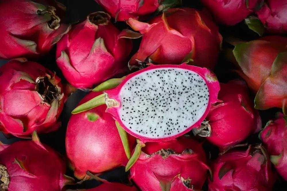 Can Dogs Eat Dragon Fruit