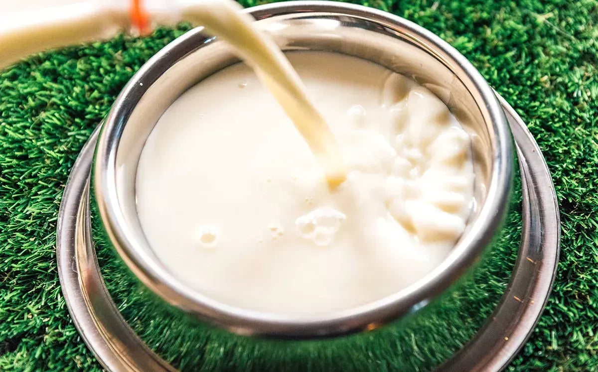 The Benefits and Considerations of Goat Milk for Dogs