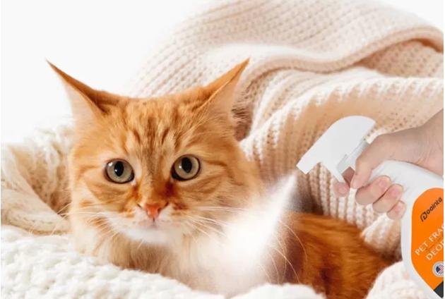 How to Choose the Best Pet Deodorizing Spray - A Must-Read Guide for Pet Owners