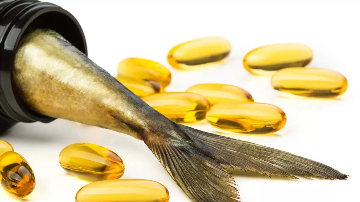 5 Common Problems With Fish Oils for Cats You Need to Know