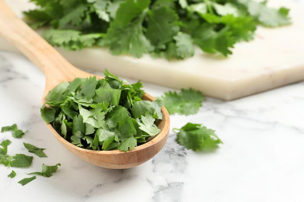 Is Cilantro Bad for Cats
