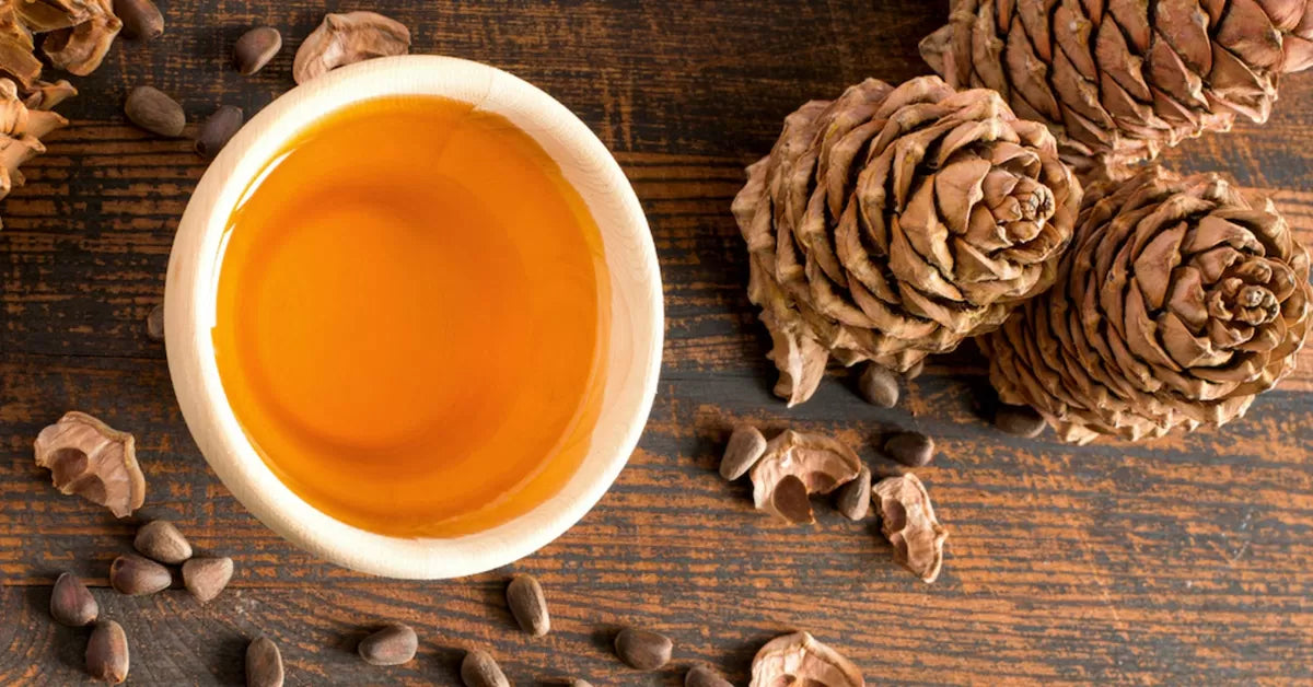 Dog Ingesting Cedarwood