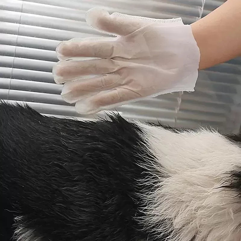 How to Dry Clean a Cat: A Complete Guide