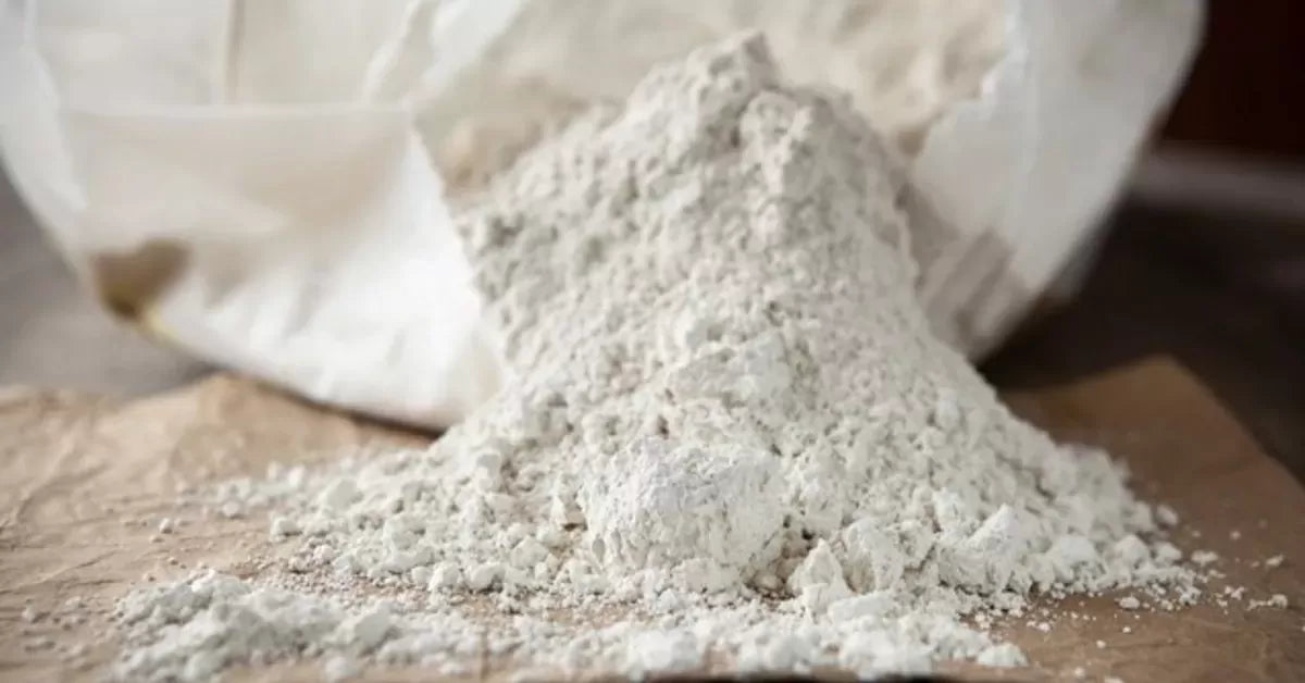 Is Diatomaceous Earth Safe for Dogs