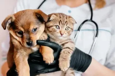 5 Common Ear Canal Infections