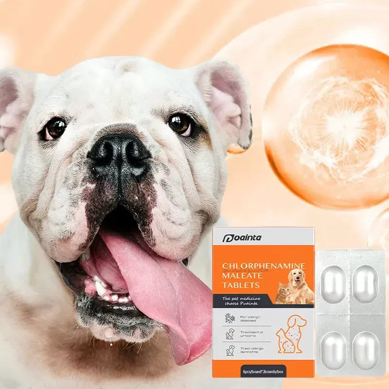 Chlorpheniramine Maleate for Dogs: Uses, Dosage, and Safety
