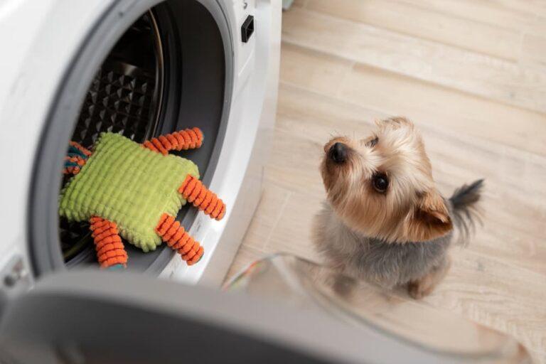 How to Wash Dog Toys