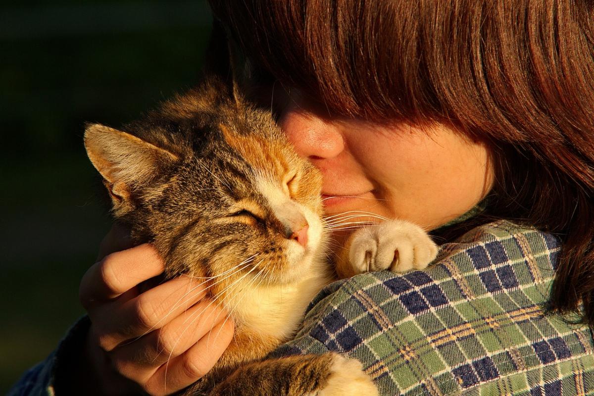 What Do Cats Smell Like