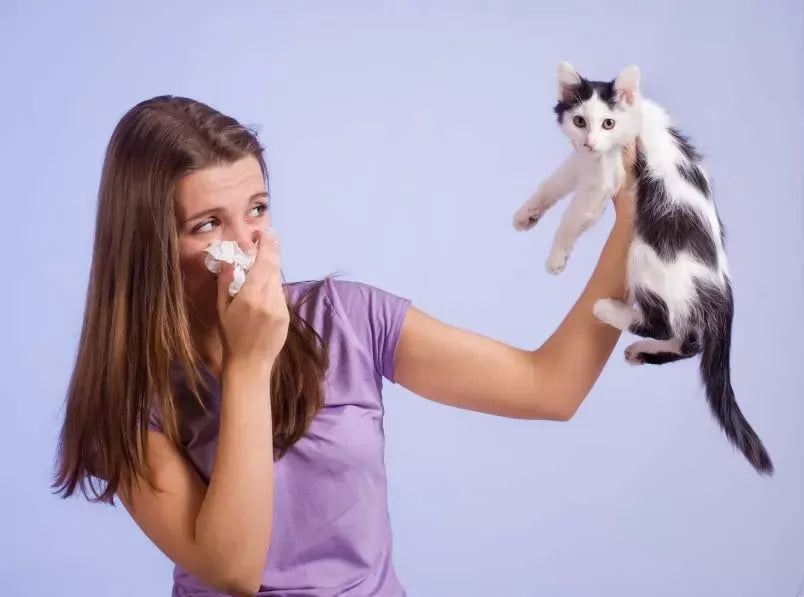How to Get Rid of Cats Bad Breath at Home