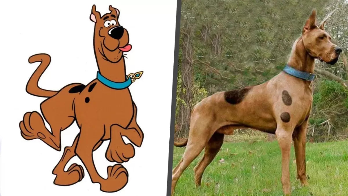 Unmasking Scooby-Doo