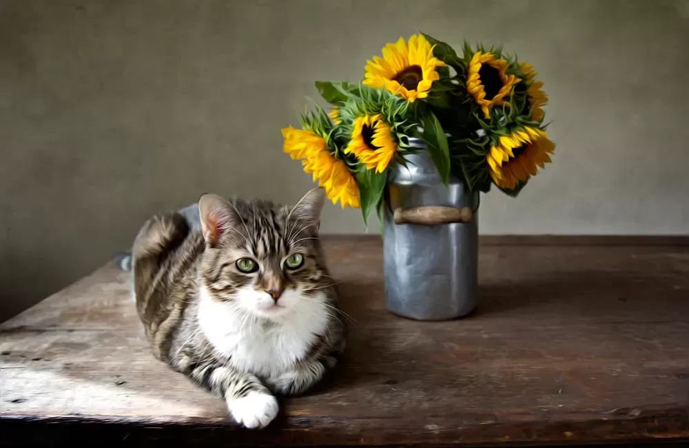 Are Sunflowers Toxic to Cats