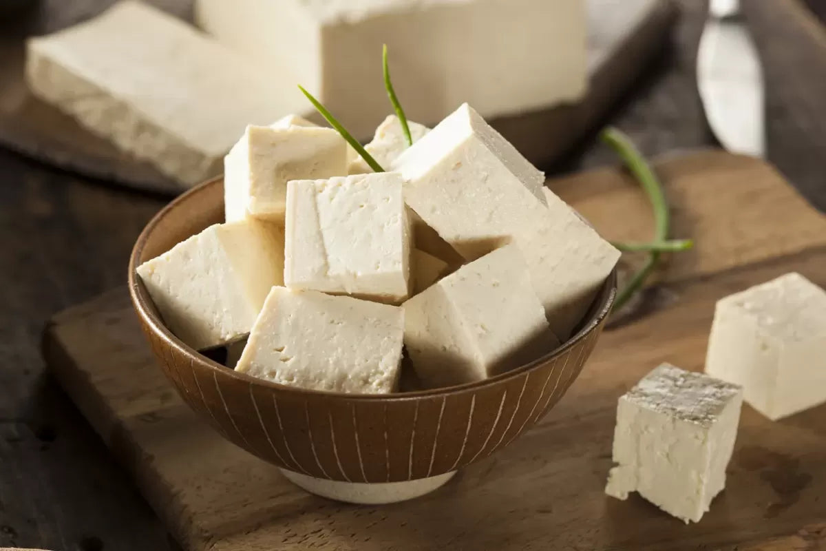 Can Dogs Eat Tofu