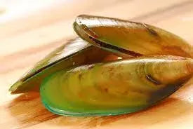 Green Llipped Mussel for Dogs: Arthritis Relief for Dogs