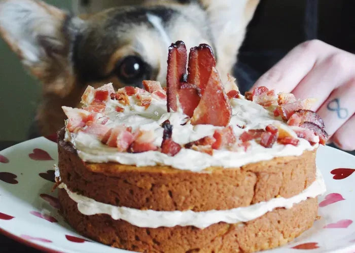 Indulge Your Pup with Delight: The Ultimate Dog Cake Recipe