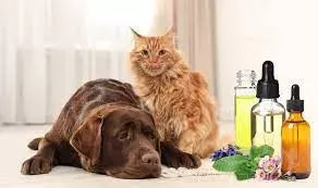 Is Neem Oil Safe for Dogs