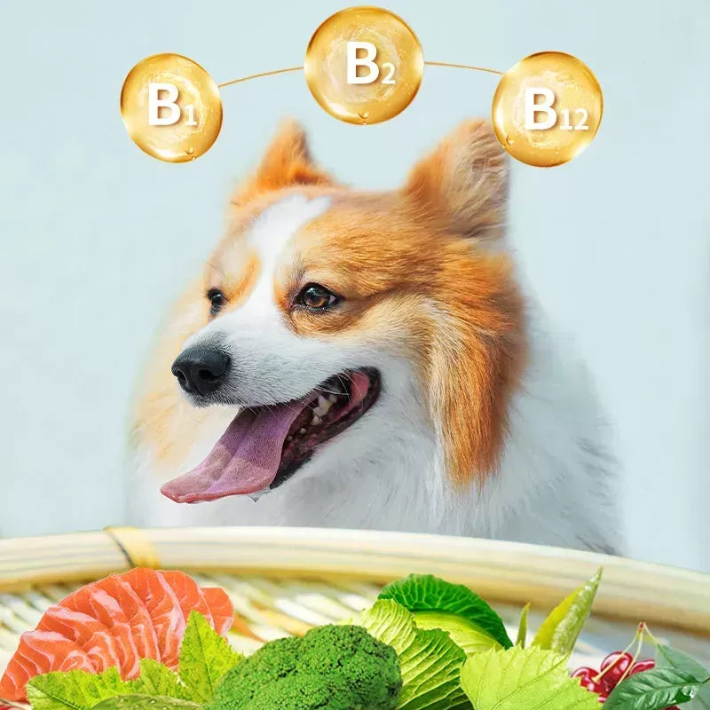 How to Choose the Best Nutritional Supplements for Your Dog?