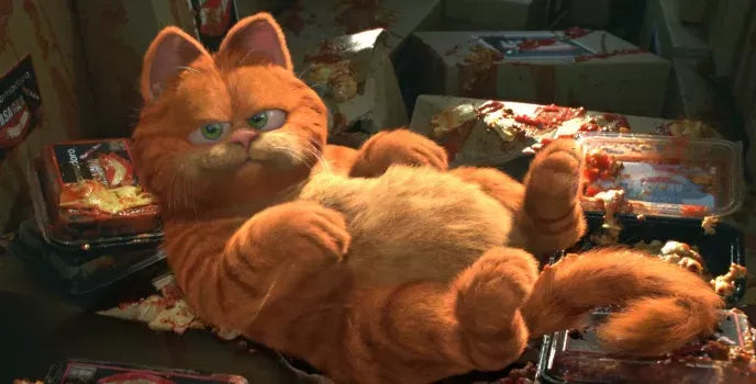 Which Kind Of Cat Is Garfield？