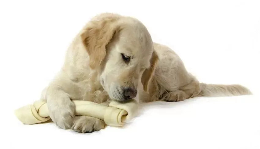 Rawhide for Dogs