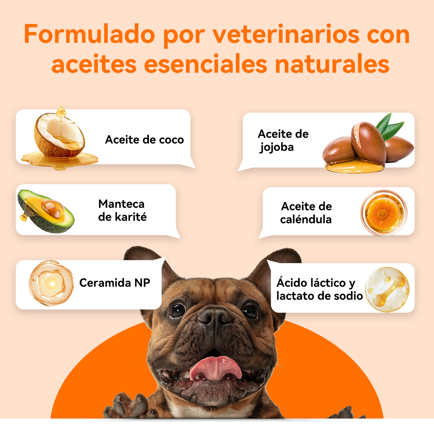 Puainta® Köpek Pati ve Burun Balmı – Çatlamış Patiler İçin Yatıştırıcı Bakım
