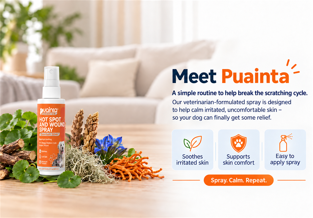 Puainta product information