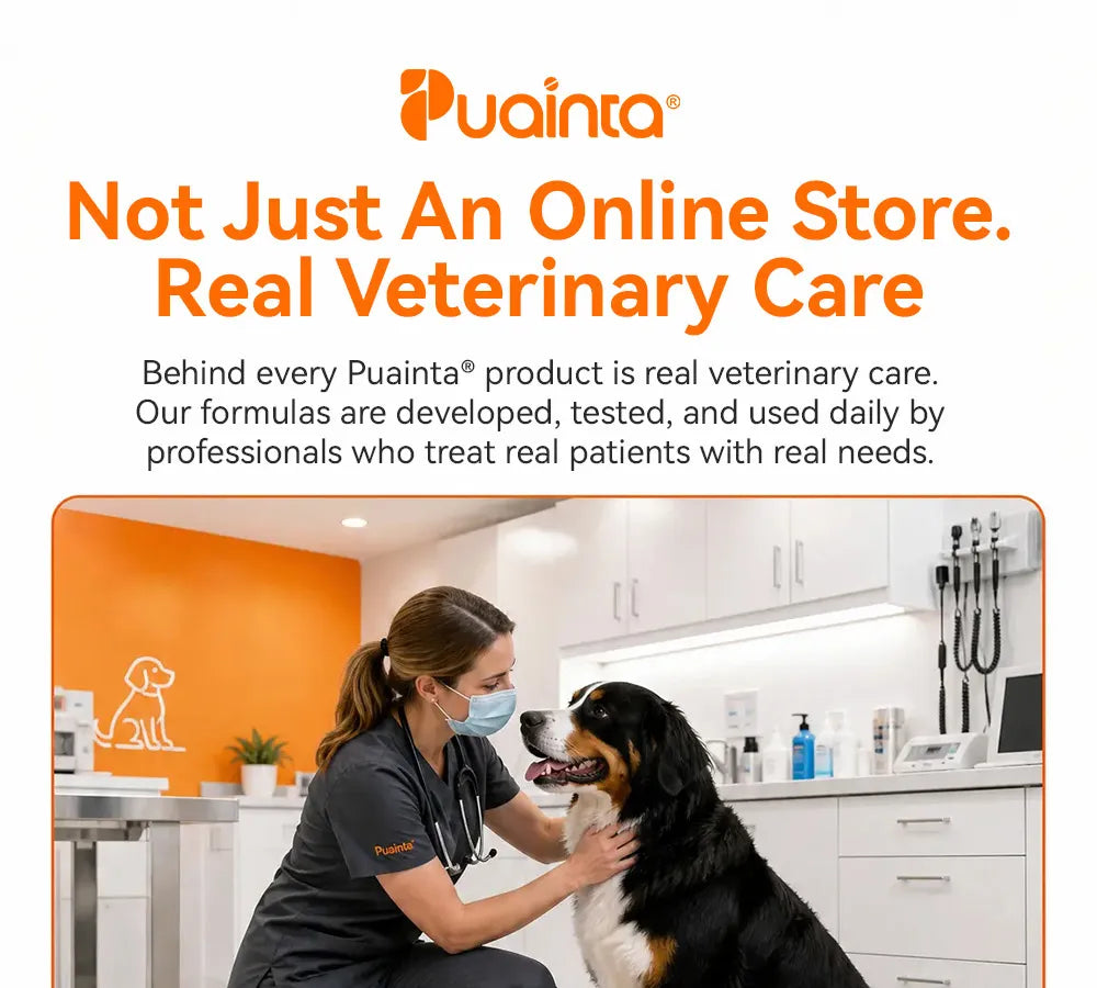 Puainta product information