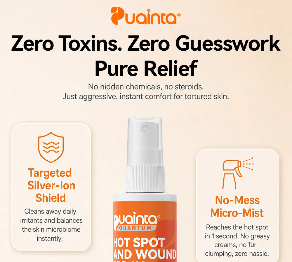 Puainta product information