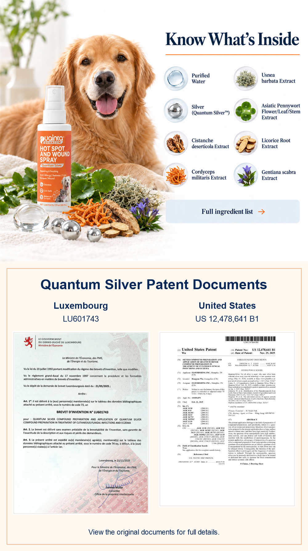 Puainta product information