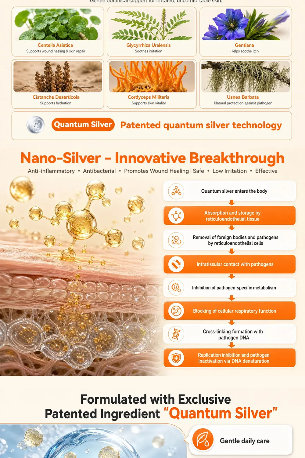 Puainta product information