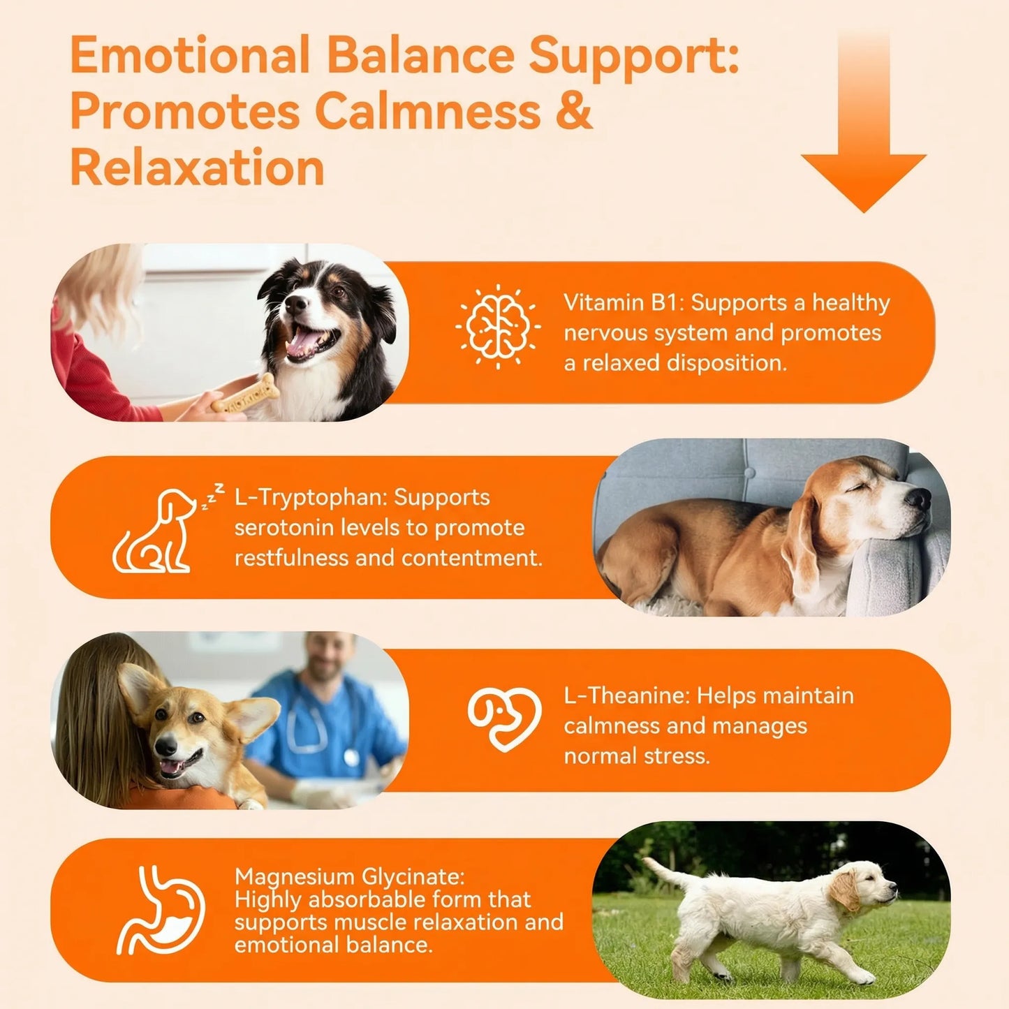 Puainta Calming Chews for Dogs – Natural Relaxation & Calmness Support