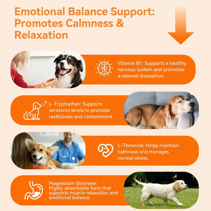 Puainta Calming Chews for Dogs – Natural Relaxation & Calmness Support