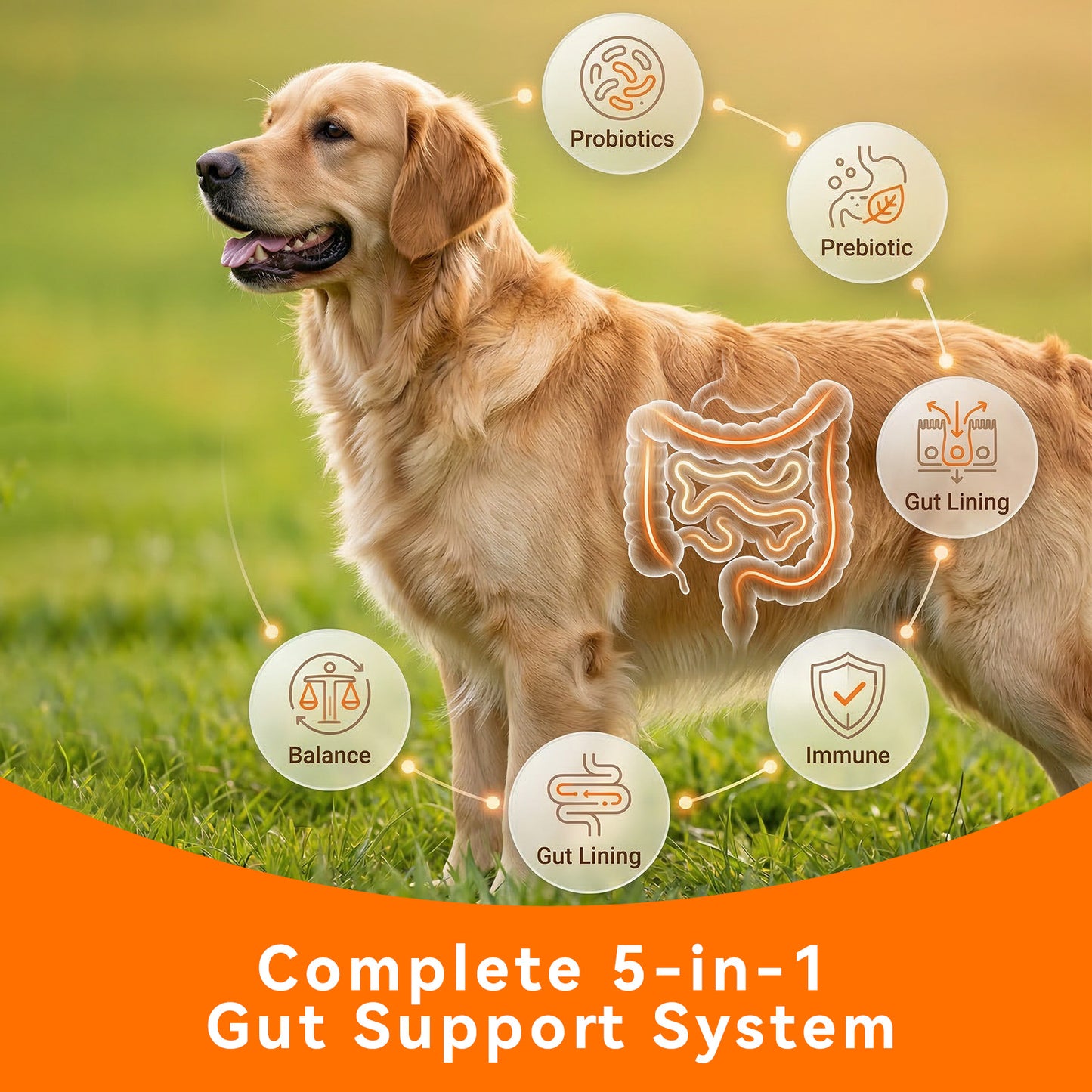 Puainta® Gut & Immune Defense