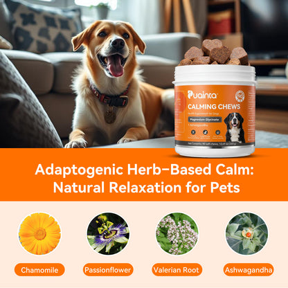 Puainta Calming Chews for Dogs – Natural Relaxation & Calmness Support