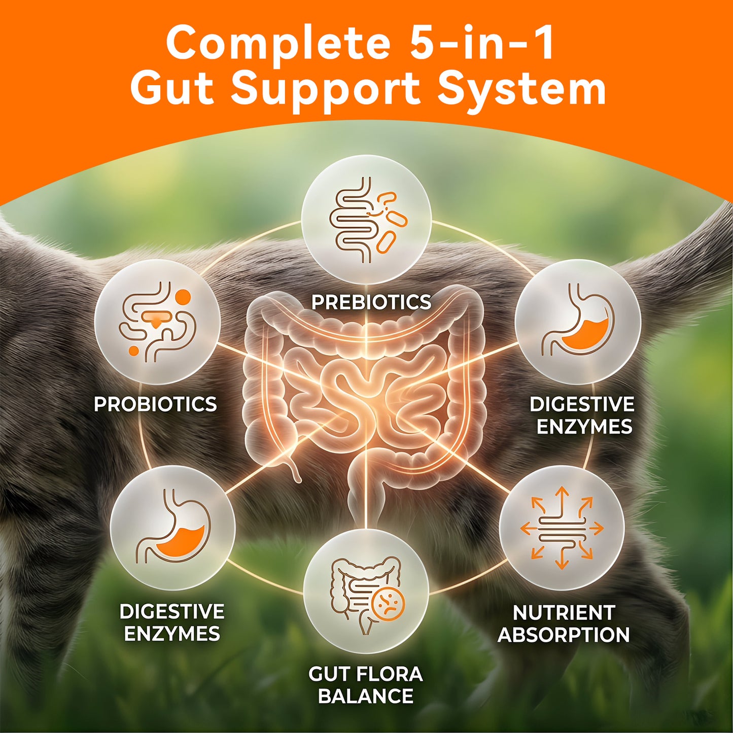Puainta® Gut & Immune Defense