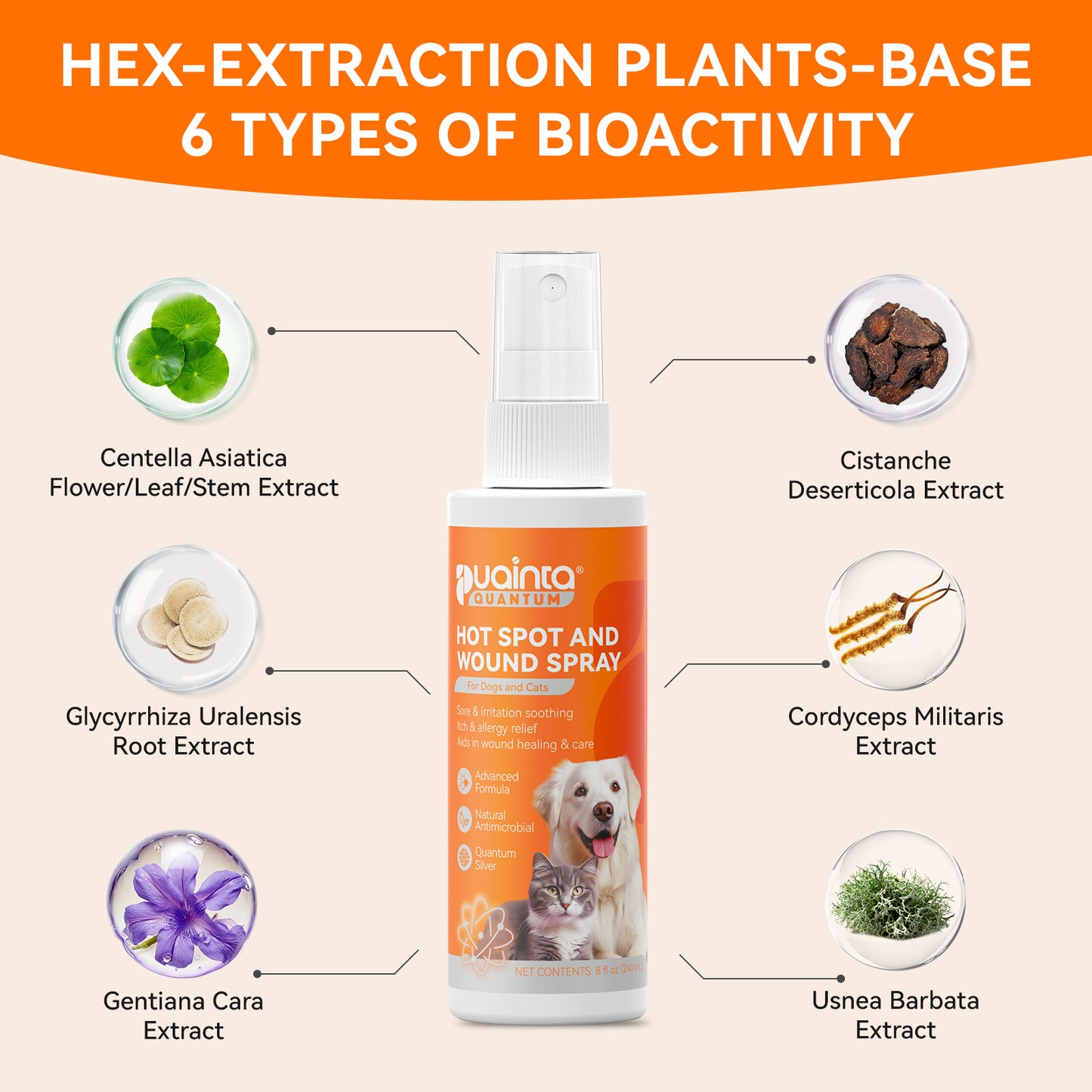 Puainta® Hot Spot Spray for Dogs & Cats, Upgraded Quantum Silver Skin Spray for Cat & Dog Skin Care