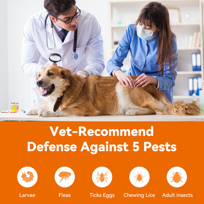 Puainta ADDCOOL Plus Dog Flea & Tick Solution – Fast-Acting Defense