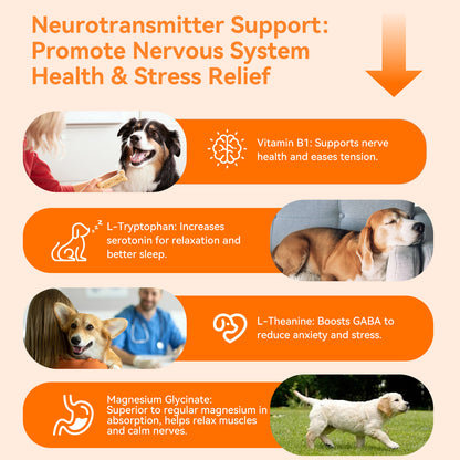 Puainta Calming Chews for Dogs – Magnesium Glycinate, Ashwagandha and L-Theanine