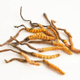 Glycyrrhiza Root