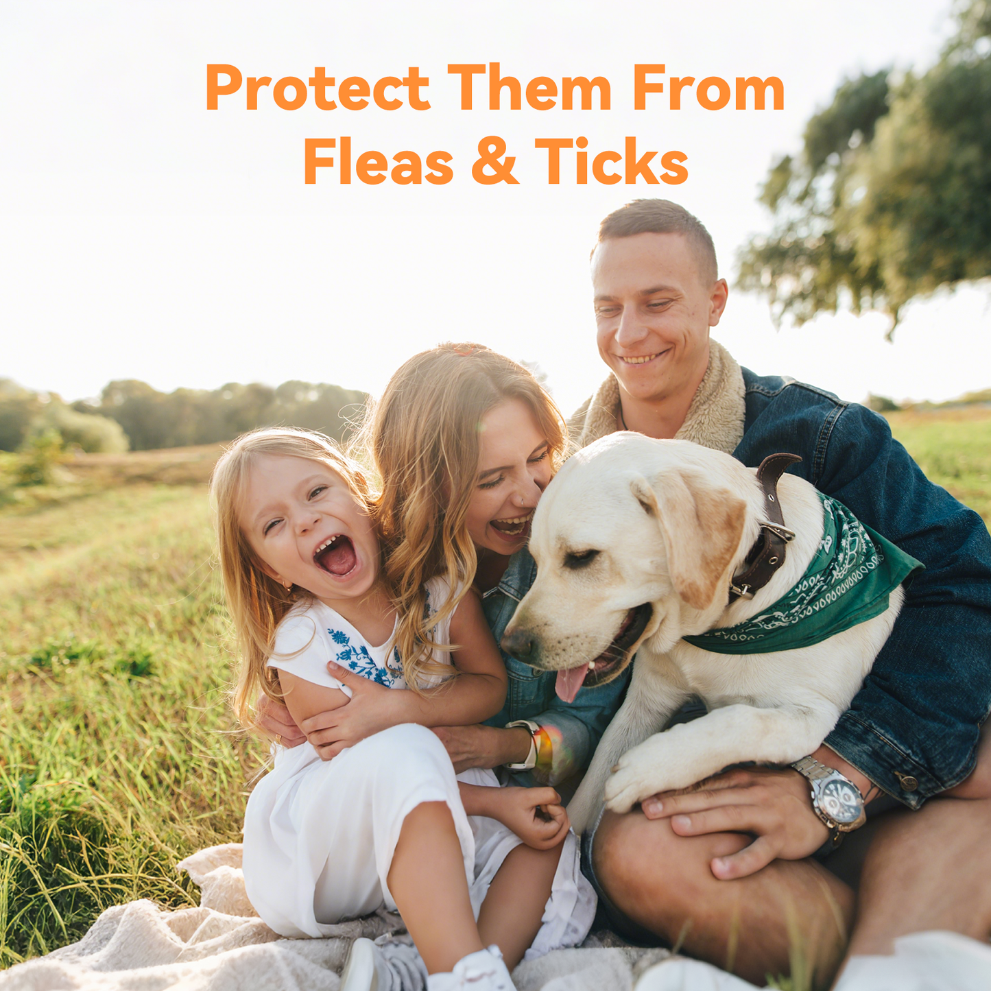 Puainta ADDCOOL Plus Dog Flea & Tick Solution – Fast-Acting Defense