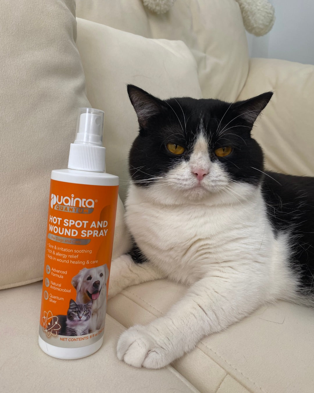 Pet parent review image